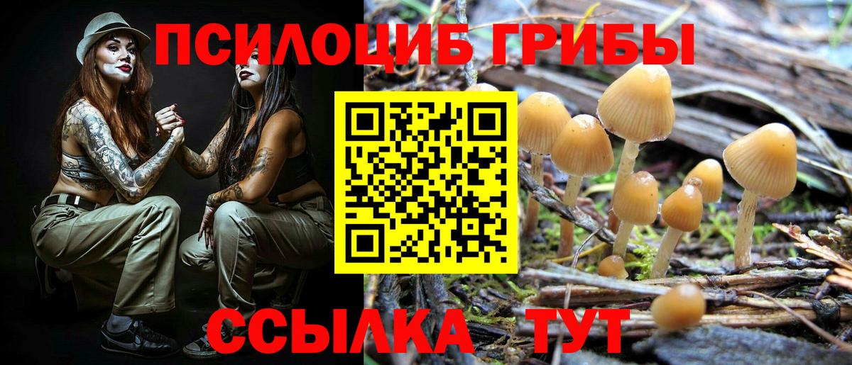наркотики  Псилоцибиновые грибы Cubensis  Вход с VPN  Родники  Псилоцибиновые грибы прущие грибы 